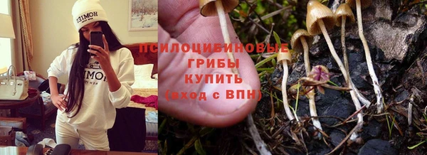спиды Красноперекопск