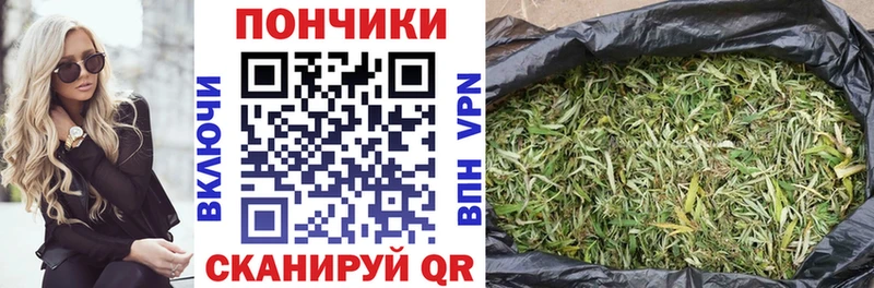 Канабис Bruce Banner  Купить где  Кохма 