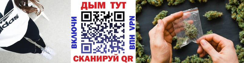 Каннабис SATIVA & INDICA Кохма